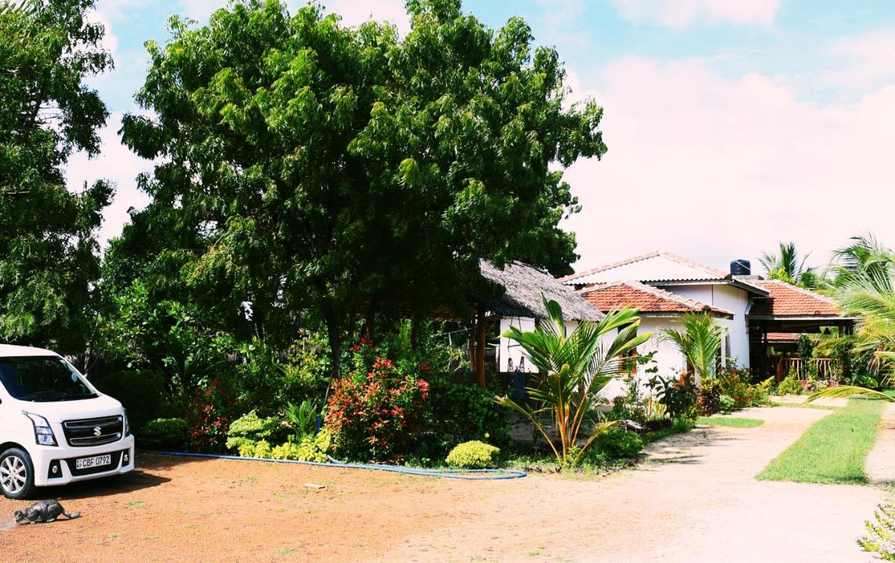 Prime Surfers Bungalow Arugam Bay Exteriér fotografie