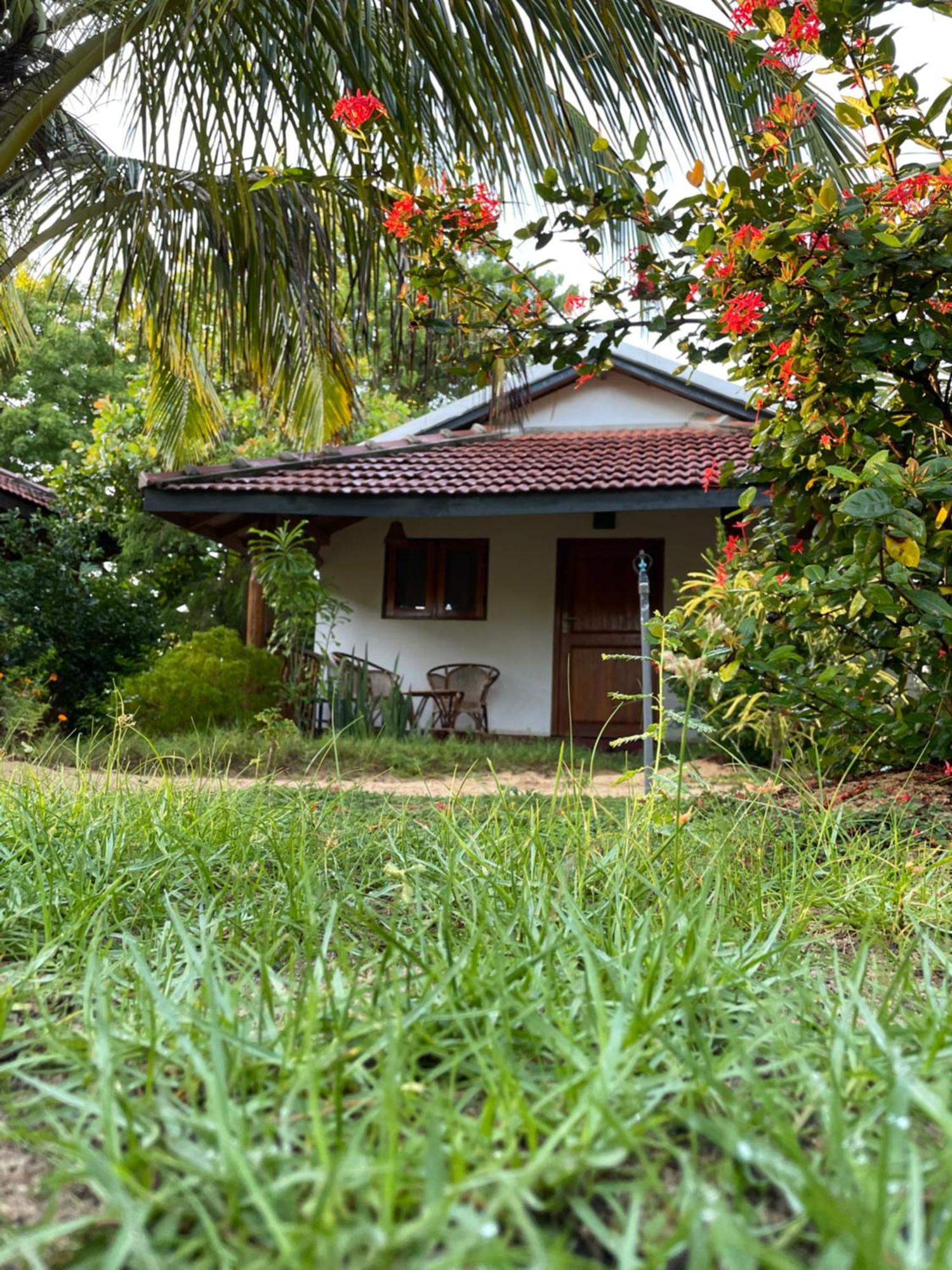 Prime Surfers Bungalow Arugam Bay Exteriér fotografie